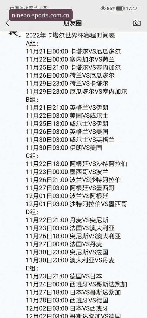 世界杯观赛受阻深度分析：签证危机如何重塑国际球迷的观赛体验